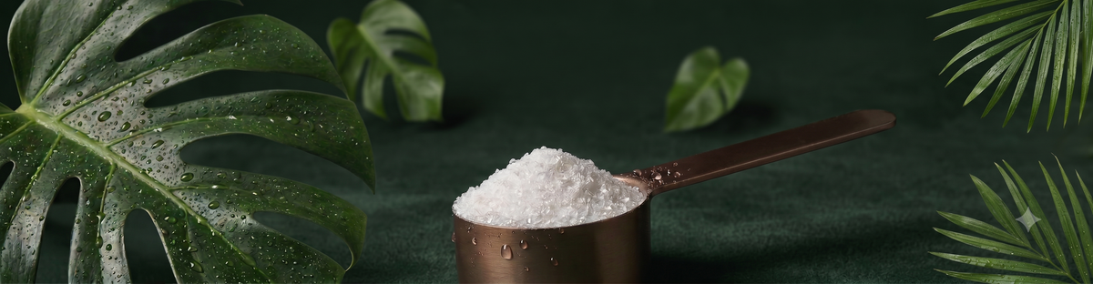 Is Creatine Halal? The Complete Guide (2026)